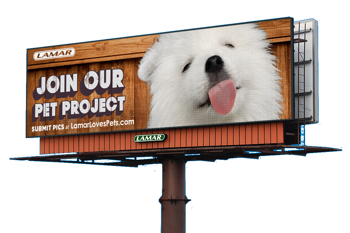 Lamar Pet Month - GIF Lamar Pet Month - GIF